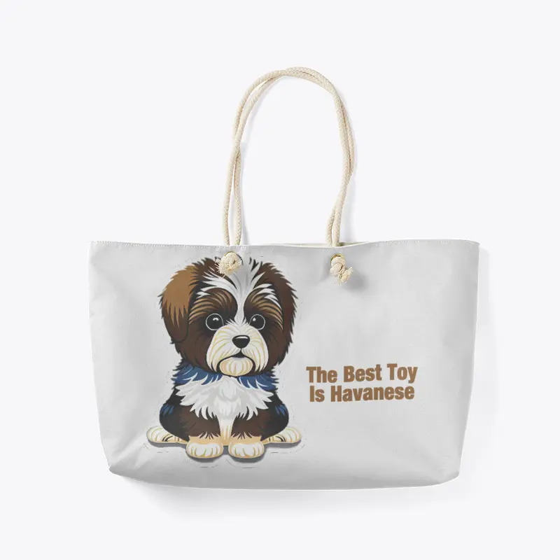 The Best Toy is Havanese